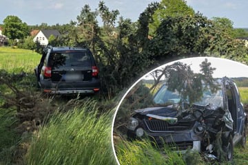 Skoda kracht gegen Baum: Fahrerin schwer verletzt