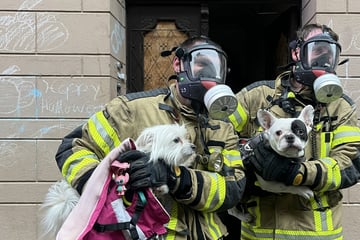 Feuer in Mehrfamilienhaus: Sechs Verletzte, Haustiere gerettet