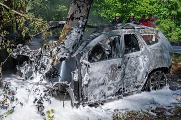 Dacia kracht gegen Baum und geht in Flammen auf: 19-Jähriger stirbt