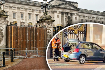 Auto rast in Buckingham-Palast: Fahrer festgenommen!