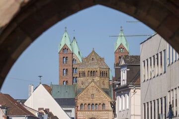 Gräueltaten im Bistum Speyer: Studie offenbart grausame Details