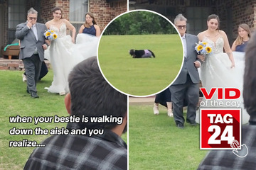 Viral Video of the Day for May 21, 2024: Bride's BFF finds out "cow" is actually a furry!