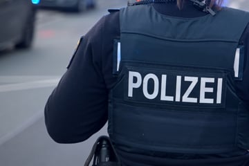 Mann randaliert mit Metallstange, verletzt fünf Einsatzkräfte: Erst Diensthund kann ihn stoppen