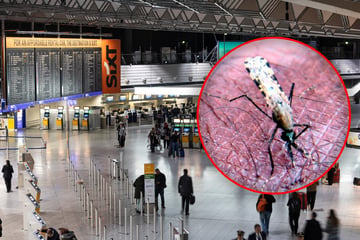 Frankfurt: Nach Tod von Malaria-Patient in Frankfurt: Zweiter Todesfall bekannt geworden