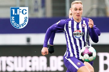 Ex-Auer plötzlich ganz heißer Kandidat beim 1. FC Magdeburg?
