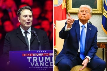 Trump makes bizarre pitch for Musk's DOGE engineers to run air traffic control