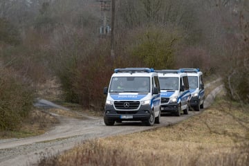 Polizei soll 40 Katzen retten, dann nimmt der Einsatz ein kaum absehbares Ausmaß an