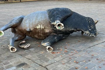 Bison on the Cathedral Square: rioters damage mascot