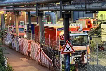 Frankfurt: Brand in Kohlesilo hält Frankfurter Feuerwehr weiter in Atem: 120 Einsatzkräfte vor Ort