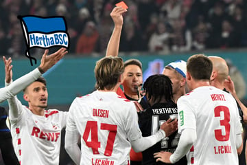 Nach Dumm-Rot: So geht es für Hertha-Star Zeefuik weiter