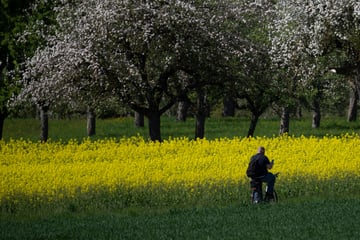 Sexualverbrechen auf Feldweg: Radfahrer stellt sich Joggerin in den Weg - und zerrt sie mit sich