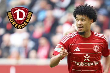 Transfer-Offensive geht weiter! Dynamo tütet nächsten Neuzugang ein, doch er ist vorerst nicht ganz dabei
