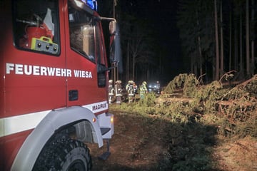 "Antonia" tobt über Sachsen: Umgestürzte Bäume blockieren Straßen