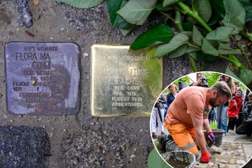 Chemnitz: So viele Stolpersteine gibt es schon in Chemnitz