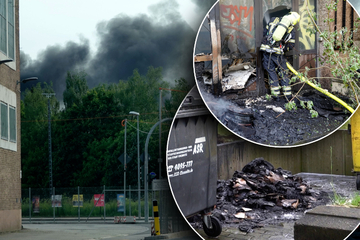 Chemnitz: Etliche Container abgefackelt: Polizei schnappt Chemnitzer Feuerteufel (23)