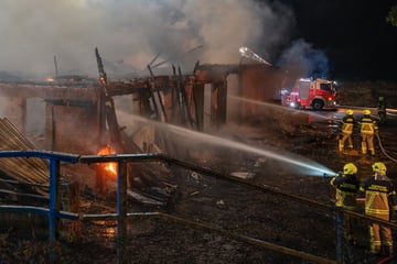 Verheerendes Feuer in Stallgebäude: 100 Kälber sterben in den Flammen