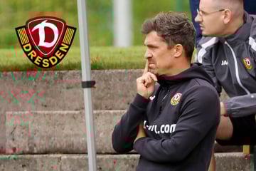 Dieses Fazit zieht Dynamo-Coach Stamm nach dem Freiburg-Test