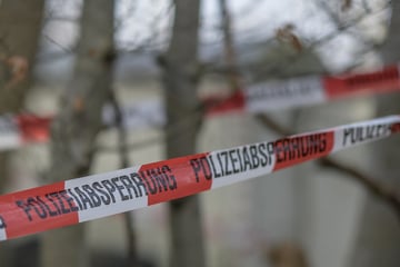 Berlin: Grausiger Fund im Wald: Ermittler entdecken Männerleiche bei Potsdam