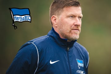 Hertha-Rumms: Zecke Neuendorf tritt zurück!