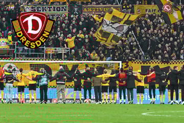 Erster Dynamo-Heimdreier seit 1456 Tagen! Ein Sieg für schwer verletzten Lennart Grill