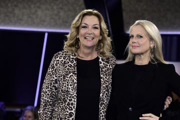 "NDR Talk Show": Diese Promis sind heute Abend zu Gast in der Sendung