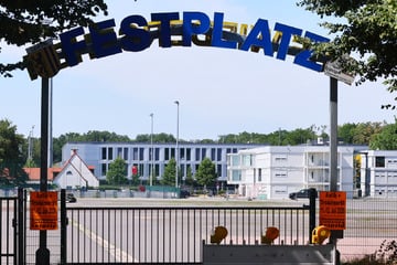 Leipzig: Ist das Leipziger Capa-Wäldchen jetzt gerettet? Stadt legt neue Pläne für Kleinmesse vor
