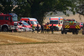 7000 Quadratmeter in Flammen: Feldbrand mit zwei Verletzten in Rheinland-Pfalz
