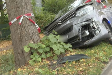 Schwerer Unfall: Frau und Kind krachen mit Auto gegen Baum
