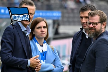 Herthas Endlos-Suche vor dem Ende: Er wird neuer Geschäftsführer