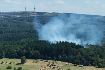Waldbrand sorgt für bange Stunden: Flammen fraßen sich bis auf 20 Meter an einige Häuser heran!