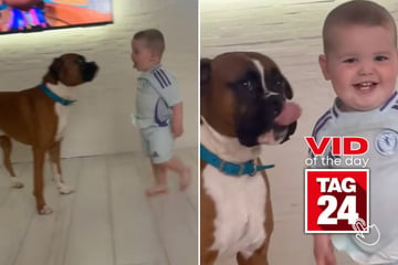 viral videos: Viral Video of the Day for September 18, 2024: Toddler and dog show off hilarious way of greeting