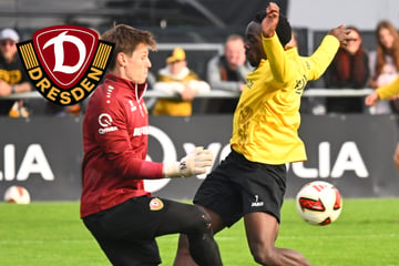 Gegen Magdeburg kam er zu spät: Neue Chance für Okpala bei Dynamo