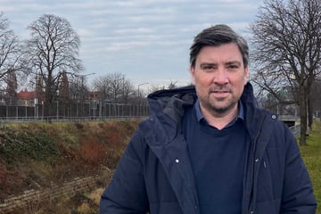 Dresden: Stadt pflanzt deutlich weniger Bäume: Das sind die Gründe dafür