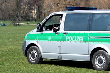 München: Nazi-Schmierereien im Englischen Garten: Polizei ermittelt und sucht Zeugen