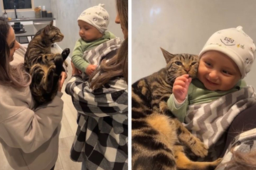 Katze kuschelt sich an Baby: Kurz darauf kann sich die Samtpfote freuen
