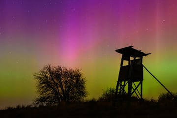 Extreme Sonnenausbrüche: Bald wieder Polarlichter über Deutschland?