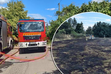 Dresden: Wiesen-Feuer in Leuben: Dichte Rauchwolken bei Kampf gegen Flammen