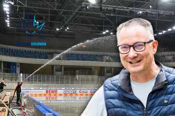 Stadt erfüllt DEL-Auflagen: Gibt's bald mehr Plätze für die Eislöwen?