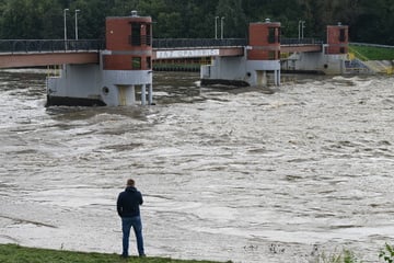 Hochwasser im Liveticker: Breslau bereitet sich auf große Welle vor