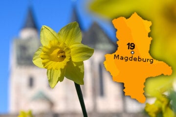 Sachsen-Anhalt freut sich auf sonniges Wetter am Wochenende
