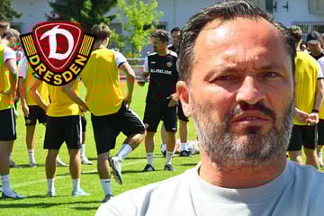 Legt Dynamo personell nach? "Lassen uns nicht treiben, haben noch Zeit!"