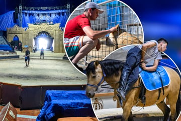 Mega-Zirkus in Sachsen aufgebaut: TAG24 schaut hinter die Kulissen