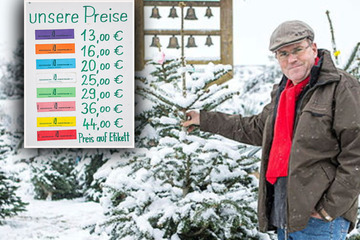 Sachsen: Jetzt werden auch unsere Weihnachtsbäume teurer!