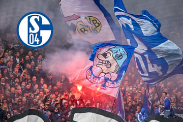 Schalke-Fan bewirft 12-Jährigen mit Flasche: Verdacht auf Nasenbeinbruch