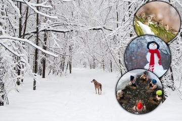 Kälte, Schnee und Mythen - Faktencheck im Winter-Quiz: Kennst Du Dich aus?