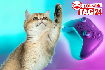 Joke of the Day for September 30, 2023: Get your Caturday funny on