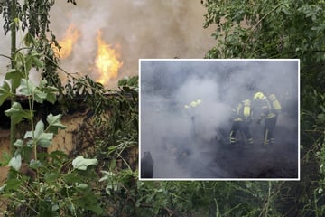 Chemnitz: Laubenbrand in Chemnitz: Weiteres Ausbreiten auf Waldstück kann verhindert werden