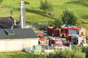 Großbrand auf Bauernhof: Tausende Tiere sterben in den Flammen