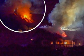 Großeinsatz auf 5-Sterne-Gestüt: Haus steht in Flammen