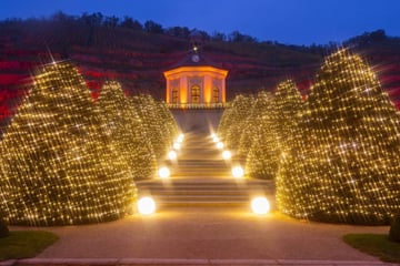 Dresden: Wackerbarth knipst Fest-Beleuchtung an